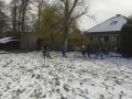 Afbeelding 102